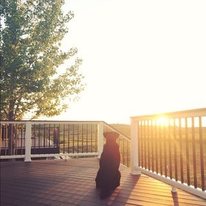 Meet your Posher, Lacey